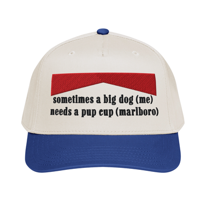 sometimes a big dog (me) needs a pup cup