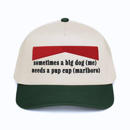 sometimes a big dog (me) needs a pup cup