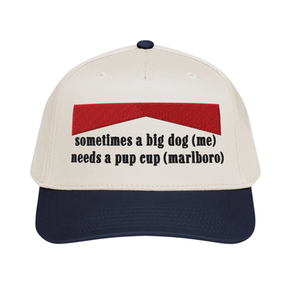 sometimes a big dog (me) needs a pup cup