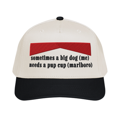sometimes a big dog (me) needs a pup cup