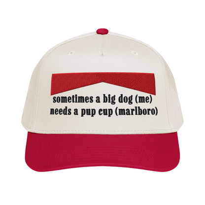 sometimes a big dog (me) needs a pup cup