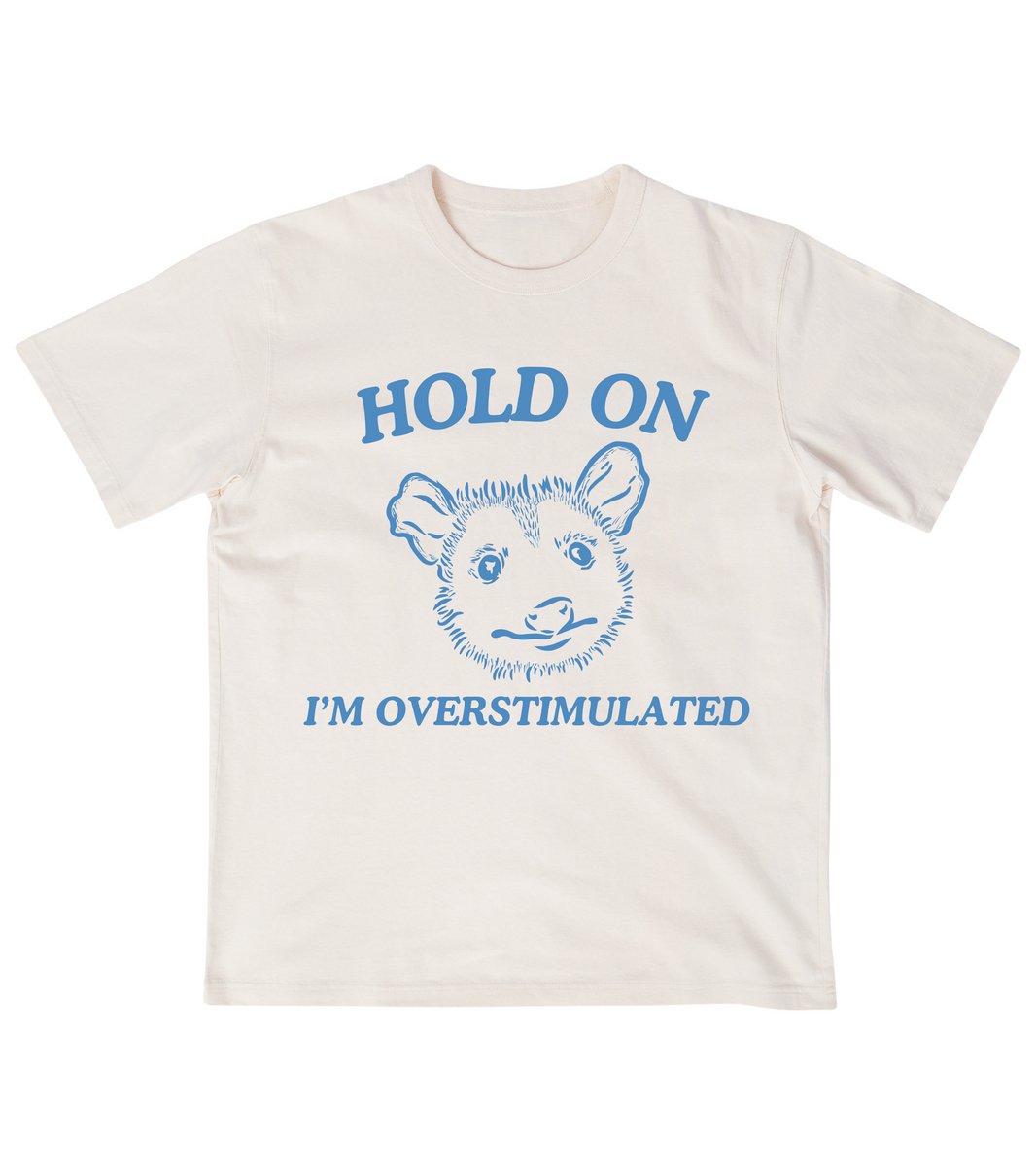 Hold On I'm Overstimulated